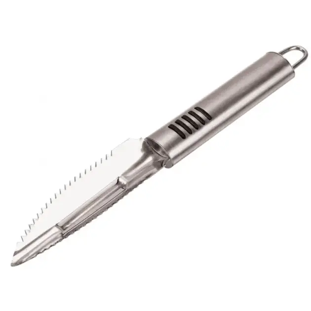 Écailleur Inox Flashmer 22 cm